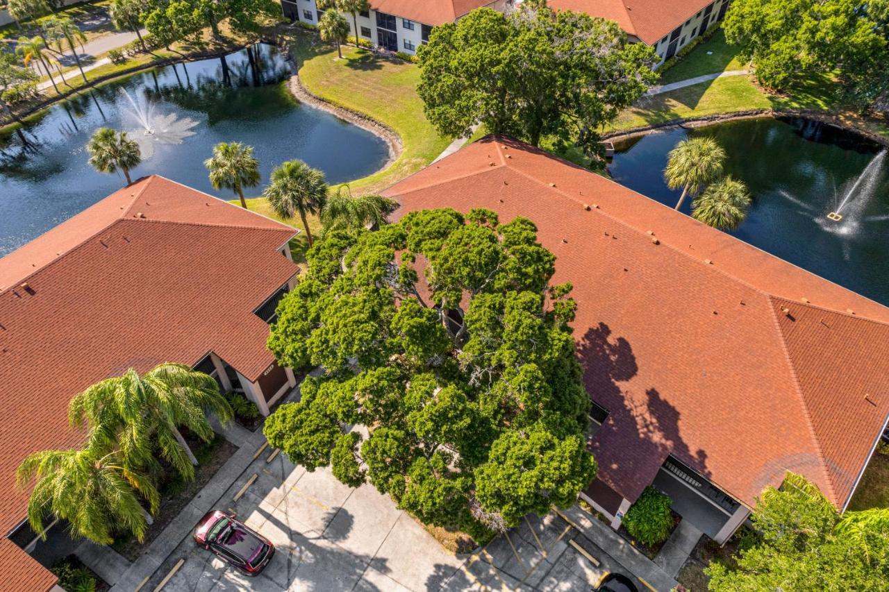 Palm Lagoon Bradenton Exteriör bild
